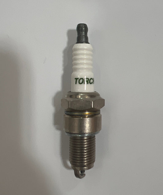 spark plug for R210-T ENGINE(30010-Z010110-0000)